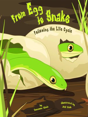 cover image of From Egg to Snake